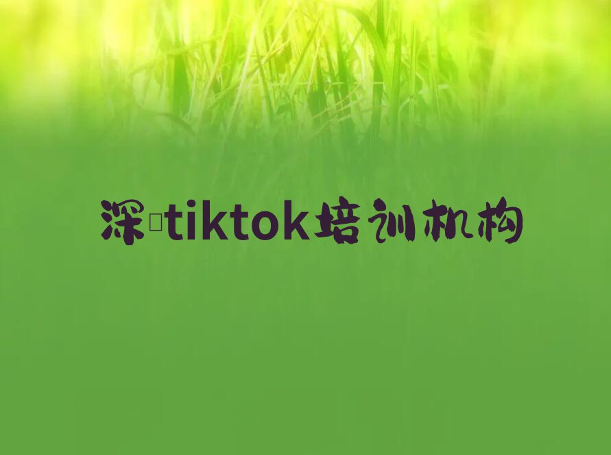 2023年深圳新安街道哪里可以学习tiktok排行榜按口碑排名一览表