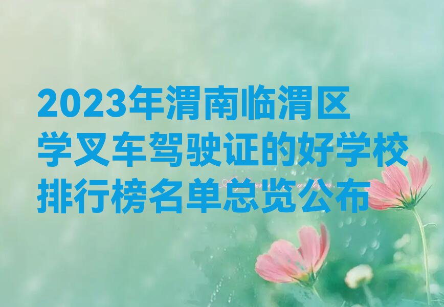 2023年渭南临渭区学叉车驾驶证的好学校排行榜名单总览公布