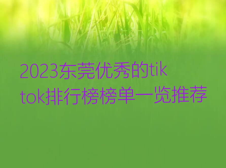 2023东莞优秀的tiktok排行榜榜单一览推荐