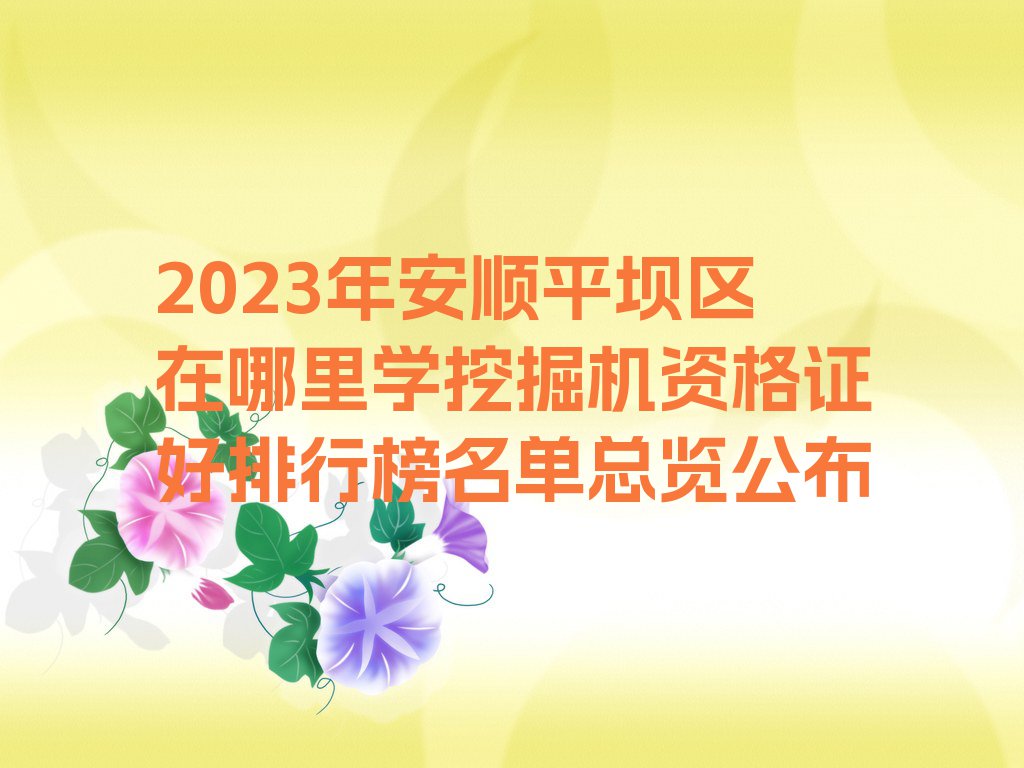 2023年安顺平坝区在哪里学挖掘机资格证好排行榜名单总览公布