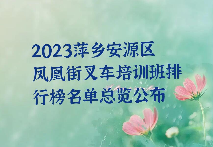 2023萍乡安源区凤凰街叉车培训班排行榜名单总览公布