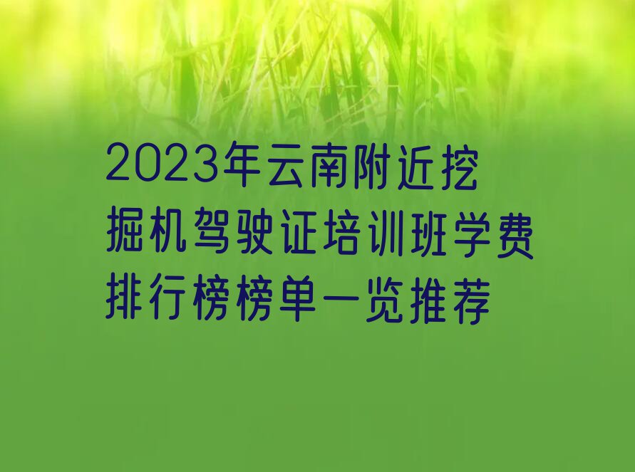 2023年云南附近挖掘机驾驶证培训班学费排行榜榜单一览推荐