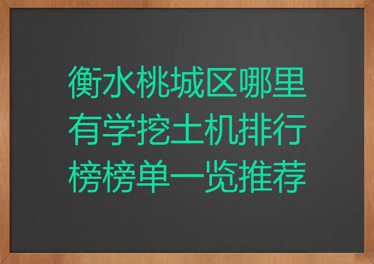 衡水桃城区哪里有学挖土机排行榜榜单一览推荐