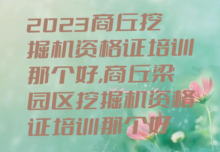 2023商丘挖掘机资格证培训那个好,商丘梁园区挖掘机资格证培训那个好