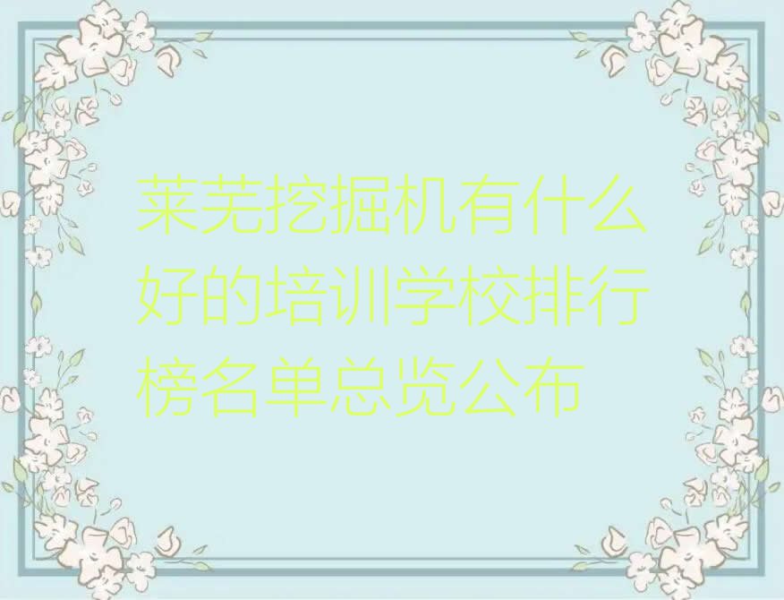 莱芜挖掘机有什么好的培训学校排行榜名单总览公布