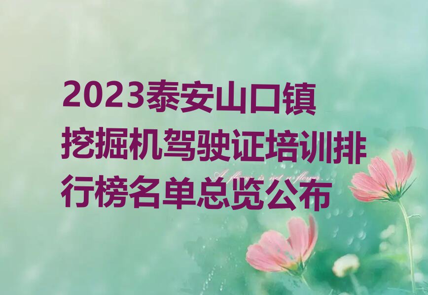 2023泰安山口镇挖掘机驾驶证培训排行榜名单总览公布