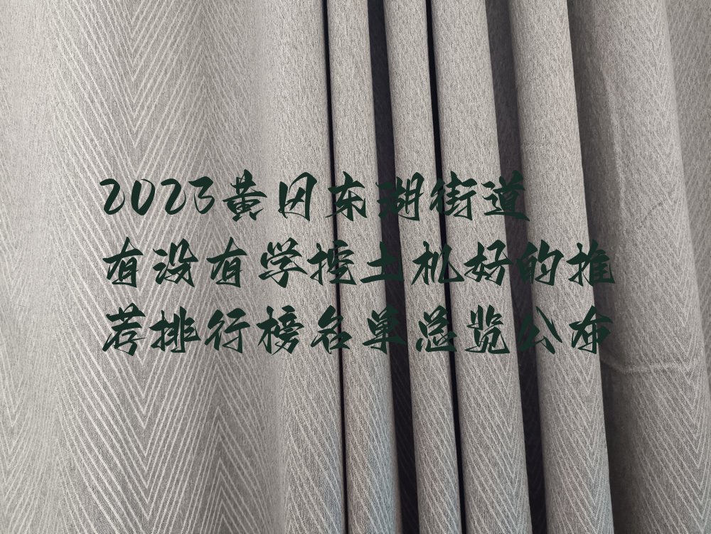 2023黄冈东湖街道有没有学挖土机好的推荐排行榜名单总览公布