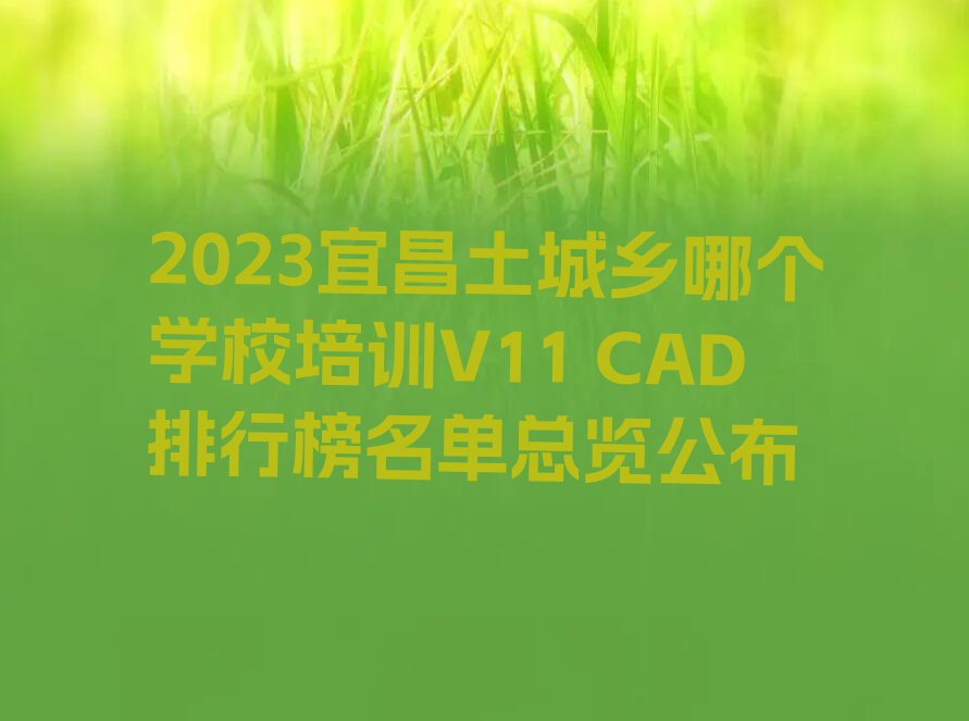 2023宜昌土城乡哪个学校培训V11 CAD排行榜名单总览公布