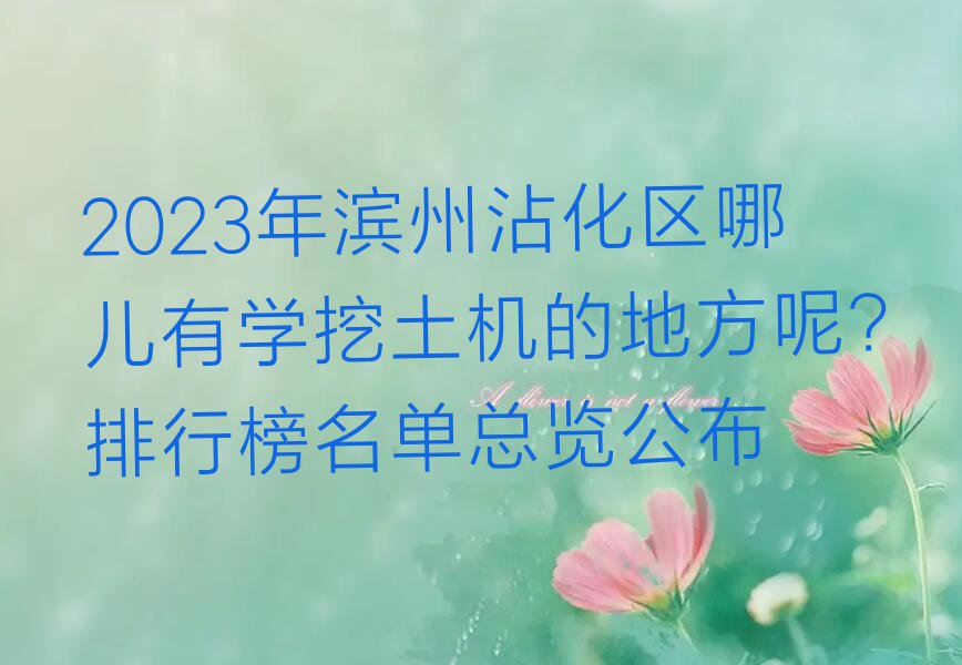 2023年滨州沾化区哪儿有学挖土机的地方呢?排行榜名单总览公布