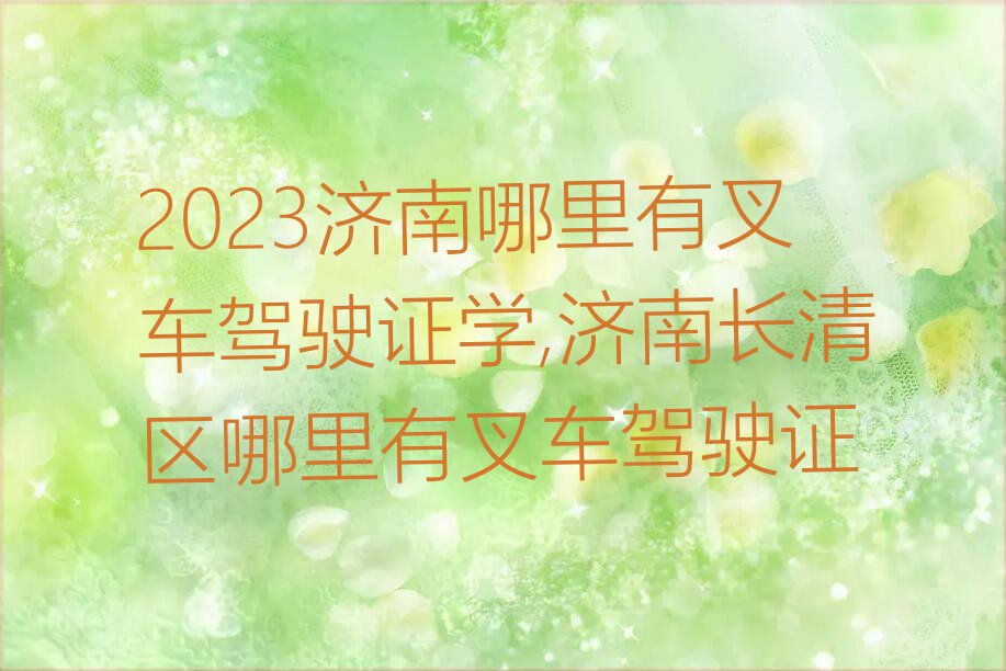 2023济南哪里有叉车驾驶证学,济南长清区哪里有叉车驾驶证