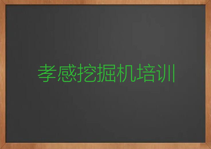 2023年孝感孝南区挖掘机夏季培训班哪个好排行榜榜单一览推荐