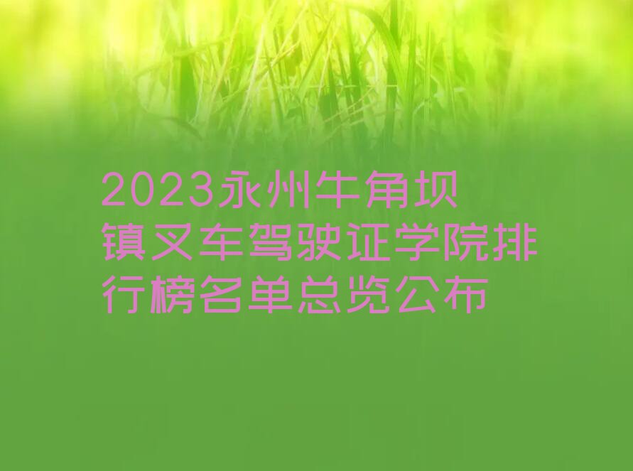 2023永州牛角坝镇叉车驾驶证学院排行榜名单总览公布