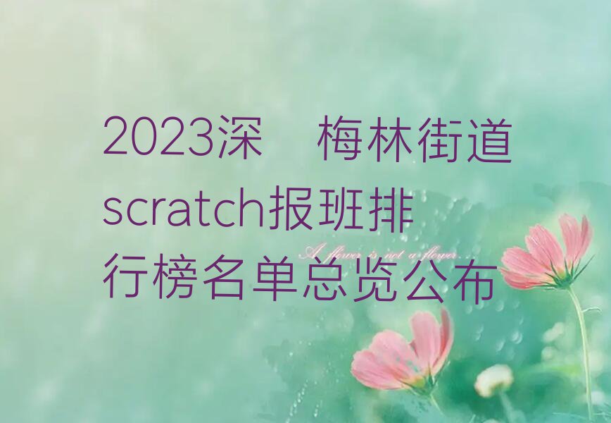 2023深圳梅林街道scratch报班排行榜名单总览公布