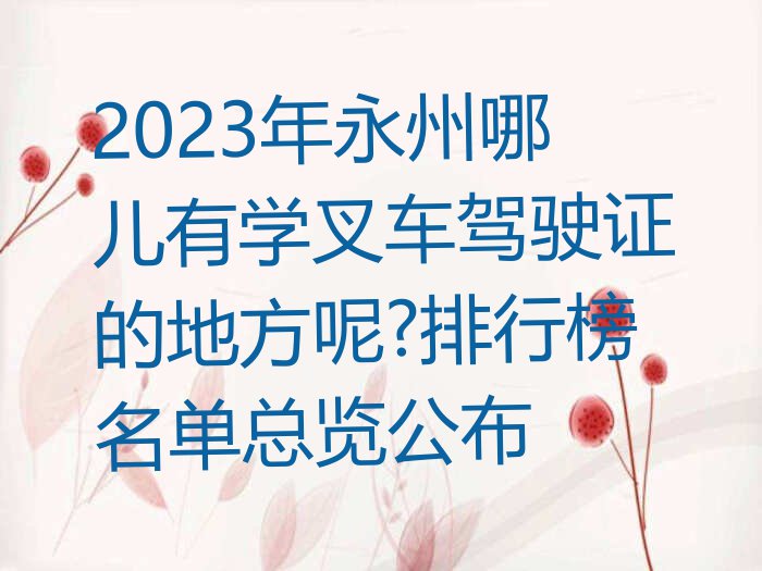 2023年永州哪儿有学叉车驾驶证的地方呢?排行榜名单总览公布