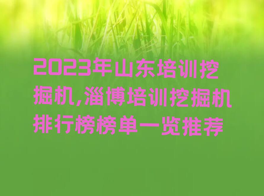 2023年山东培训挖掘机,淄博培训挖掘机排行榜榜单一览推荐