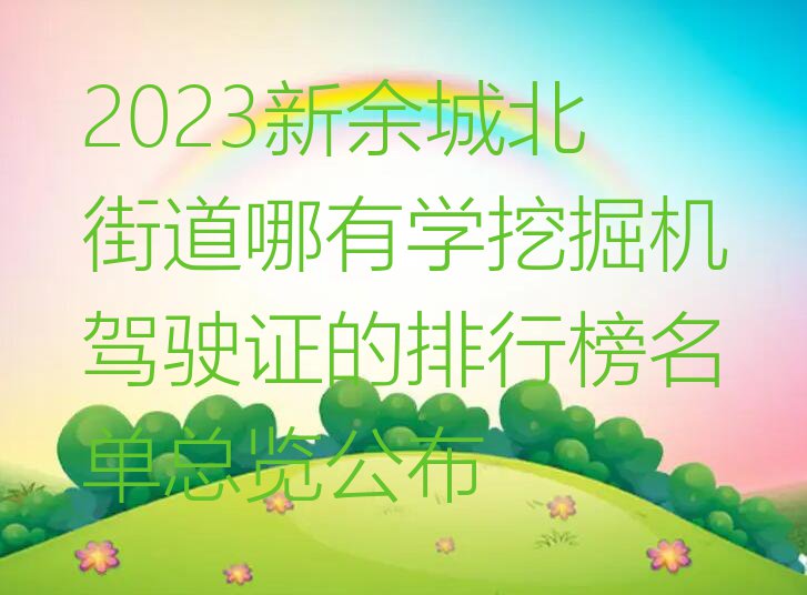 2023新余城北街道哪有学挖掘机驾驶证的排行榜名单总览公布