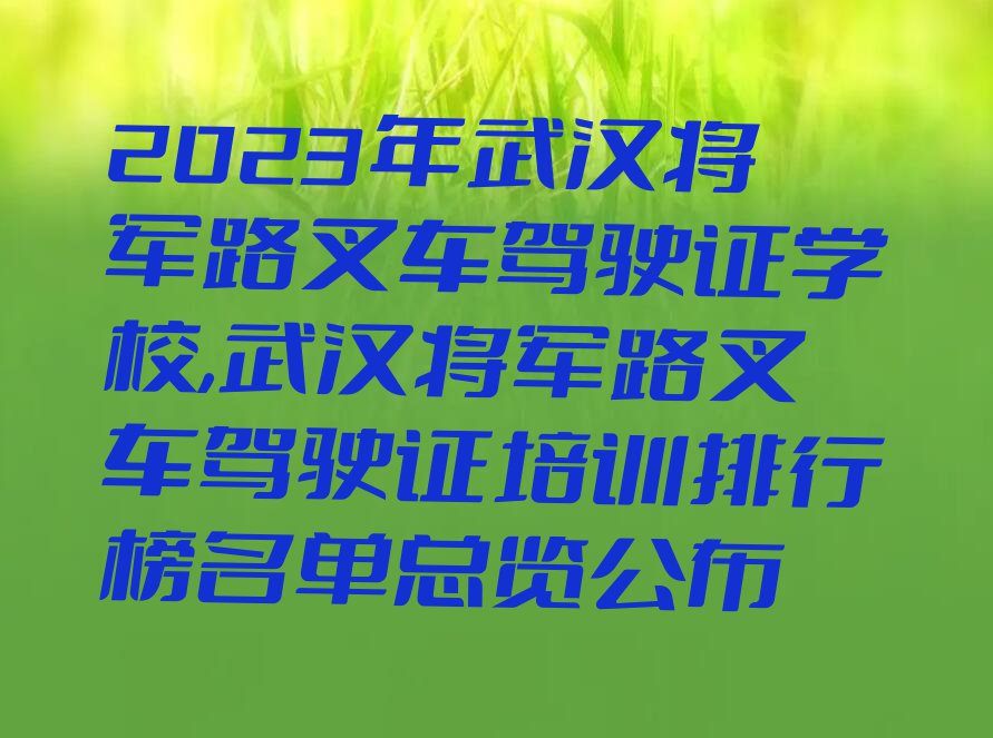 2023年武汉将军路叉车驾驶证学校,武汉将军路叉车驾驶证培训排行榜名单总览公布