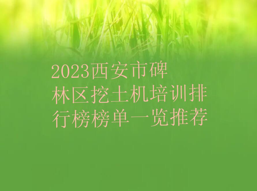 2023西安市碑林区挖土机培训排行榜榜单一览推荐