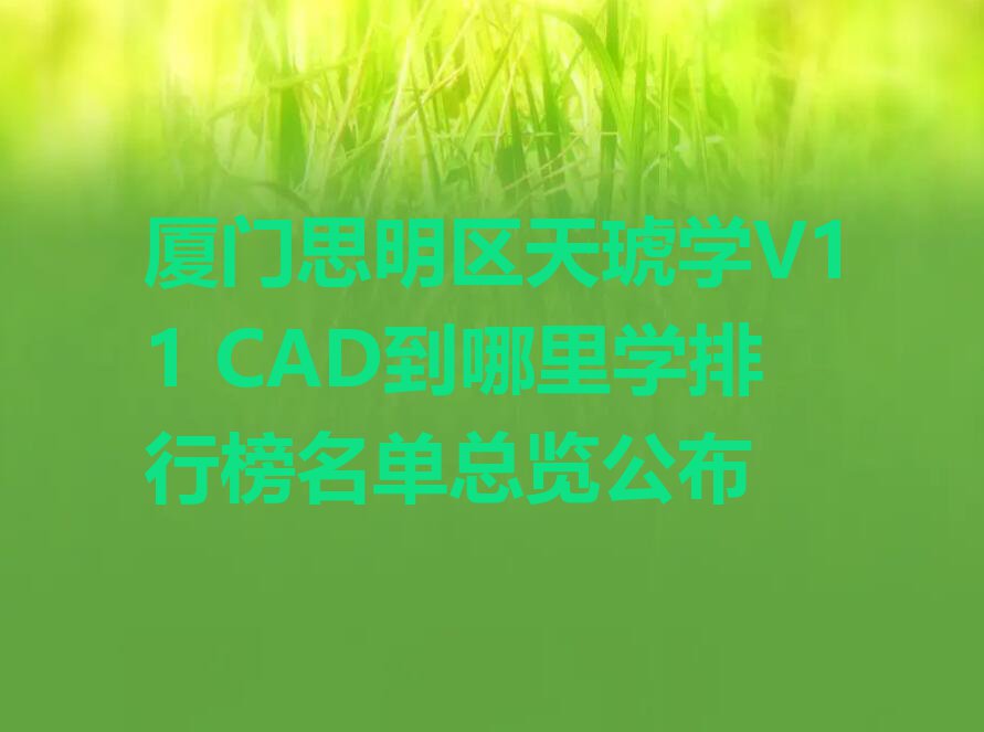 厦门思明区天琥学V11 CAD到哪里学排行榜名单总览公布