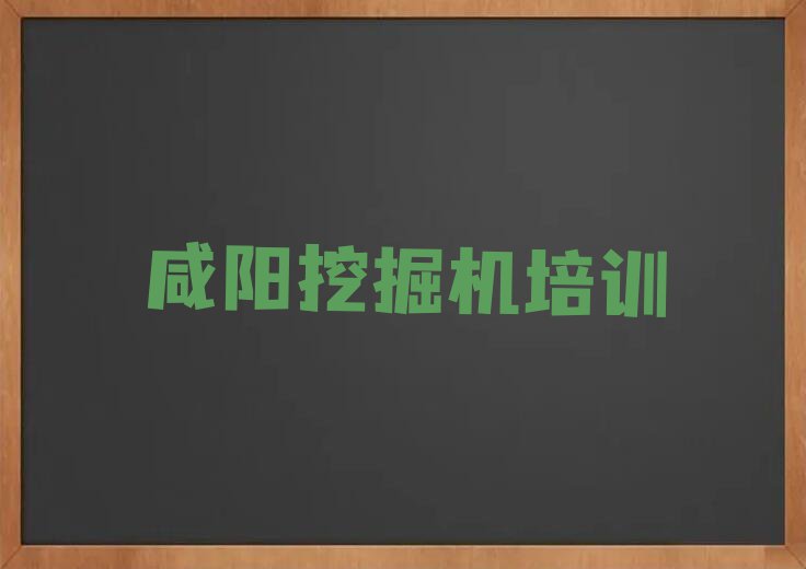 2023年咸阳大寨街道挖土机哪里可以学排行榜按口碑排名一览表