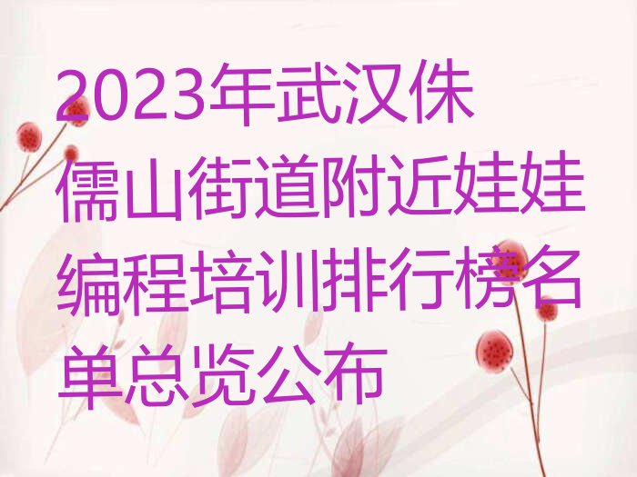 2023年武汉侏儒山街道附近娃娃编程培训排行榜名单总览公布