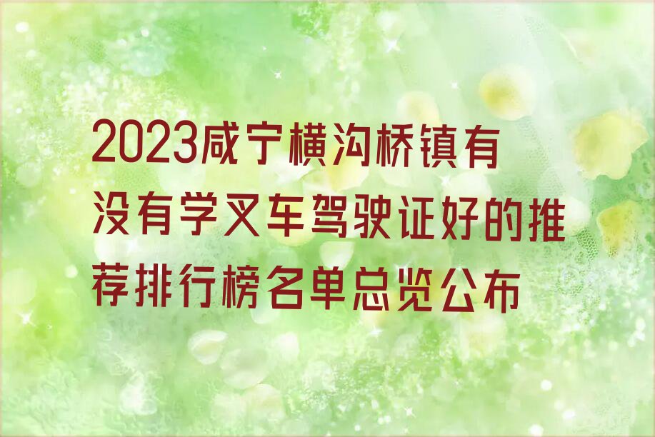 2023咸宁横沟桥镇有没有学叉车驾驶证好的推荐排行榜名单总览公布