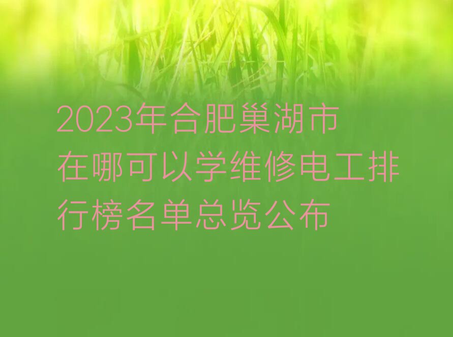 2023年合肥巢湖市在哪可以学维修电工排行榜名单总览公布