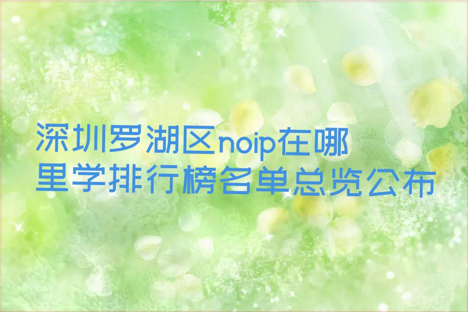 深圳罗湖区noip在哪里学排行榜名单总览公布