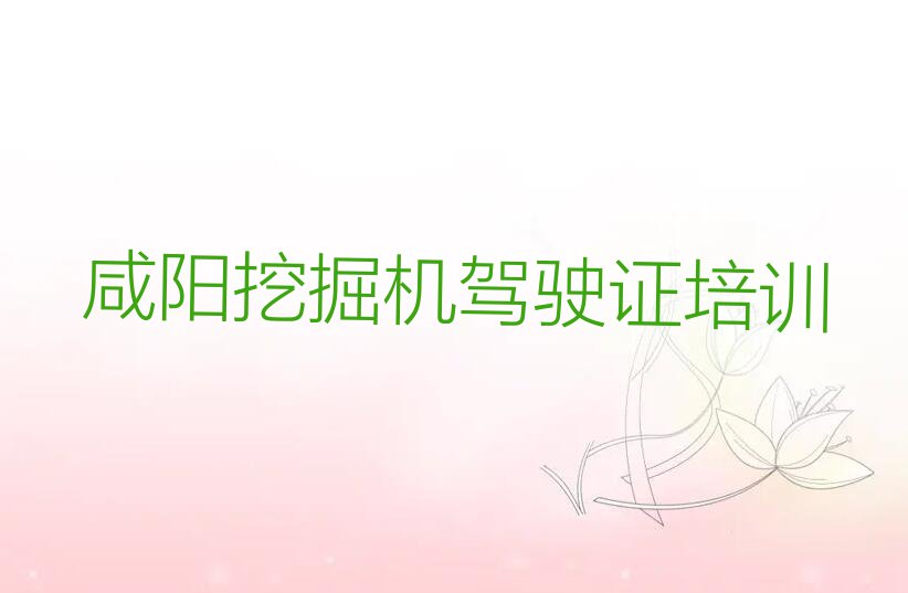 2023咸阳那里有可以培训挖掘机驾驶证,咸阳渭城区挖掘机驾驶证培训