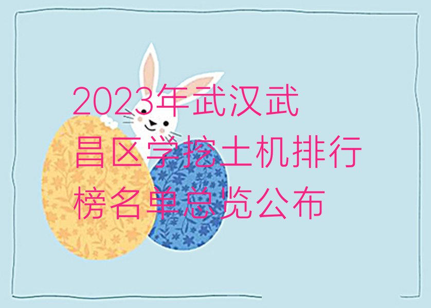 2023年武汉武昌区学挖土机排行榜名单总览公布