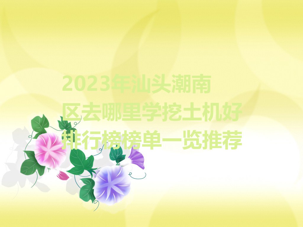 2023年汕头潮南区去哪里学挖土机好排行榜榜单一览推荐