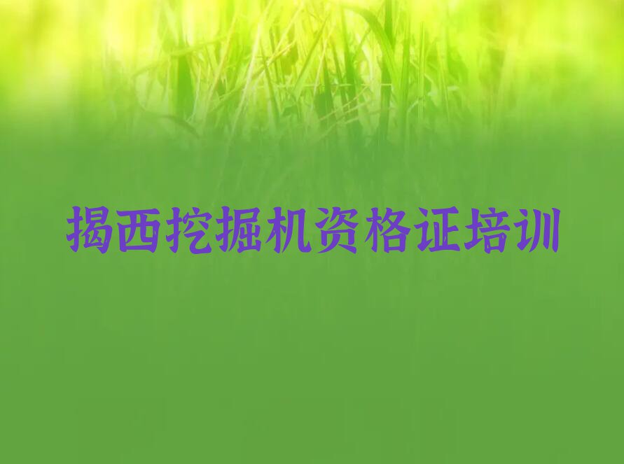 2023年揭西挖掘机资格证学校有哪些排行榜名单总览公布