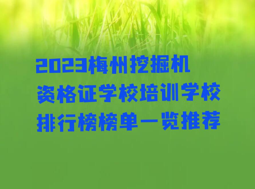 2023梅州挖掘机资格证学校培训学校排行榜榜单一览推荐