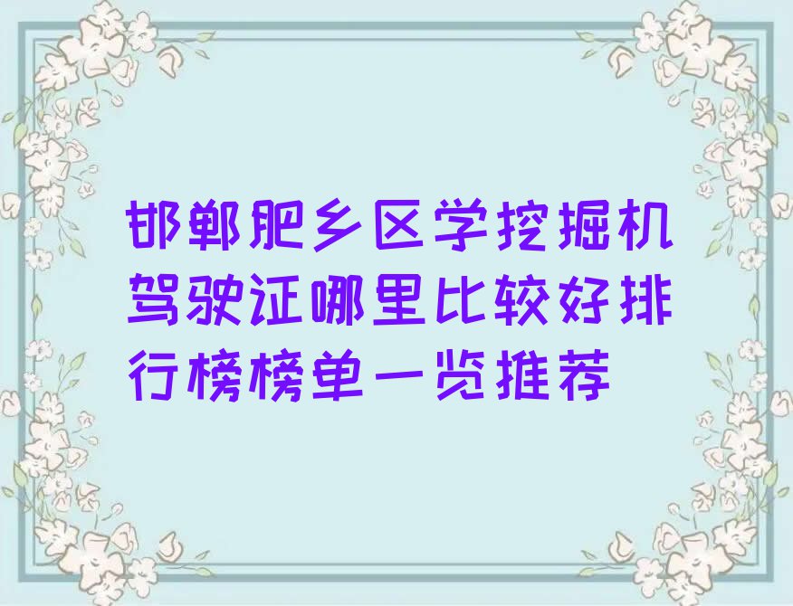 邯郸肥乡区学挖掘机驾驶证哪里比较好排行榜榜单一览推荐