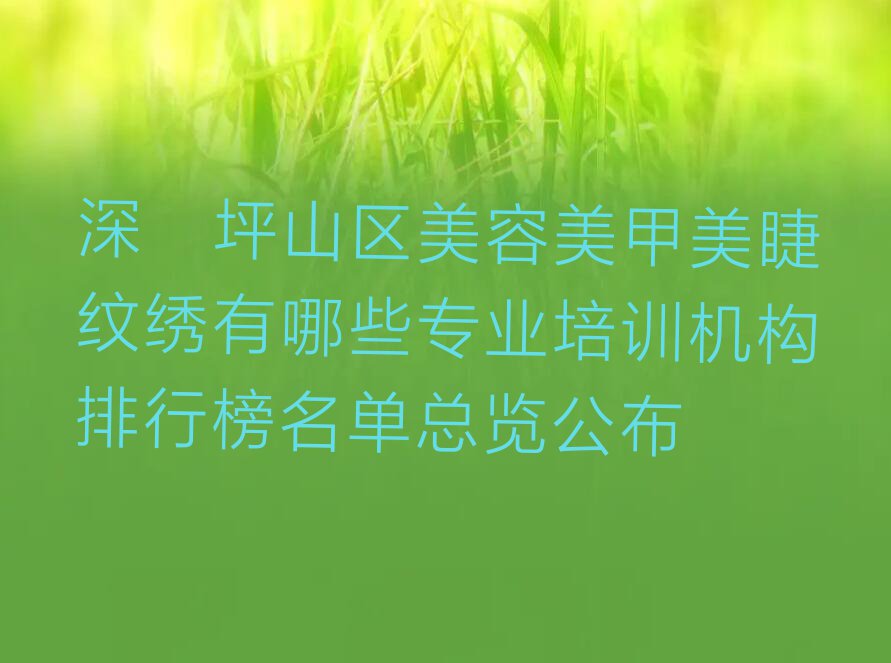 深圳坪山区美容美甲美睫纹绣有哪些专业培训机构排行榜名单总览公布