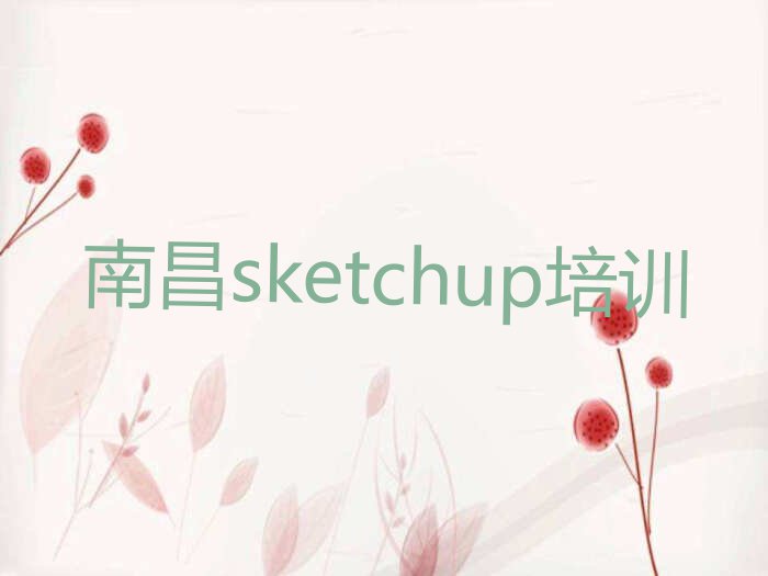 2023南昌sketchup班,南昌东湖区sketchup班