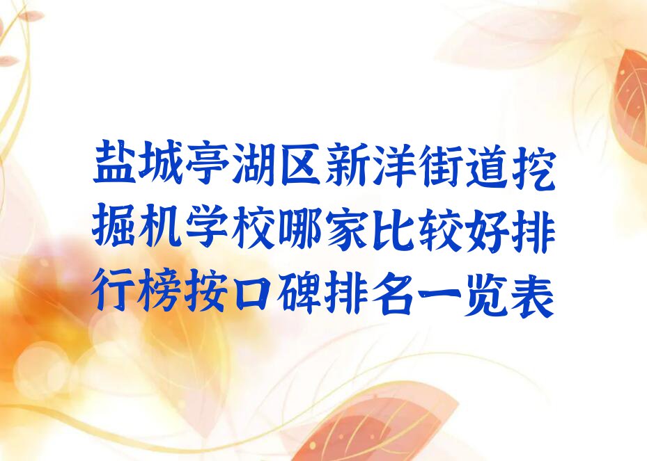 盐城亭湖区新洋街道挖掘机学校哪家比较好排行榜按口碑排名一览表