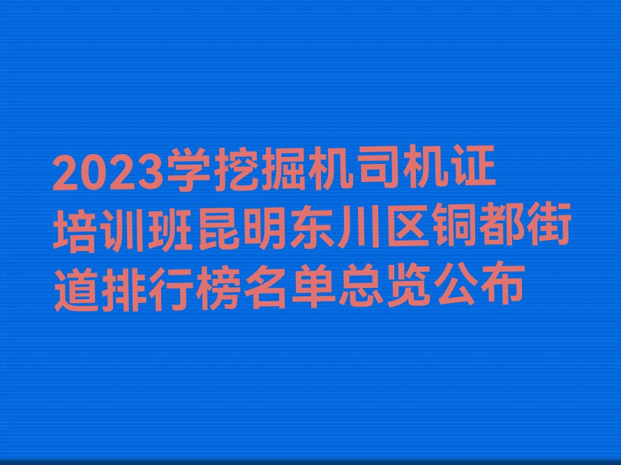 2023学挖掘机司机证培训班昆明东川区铜都街道排行榜名单总览公布