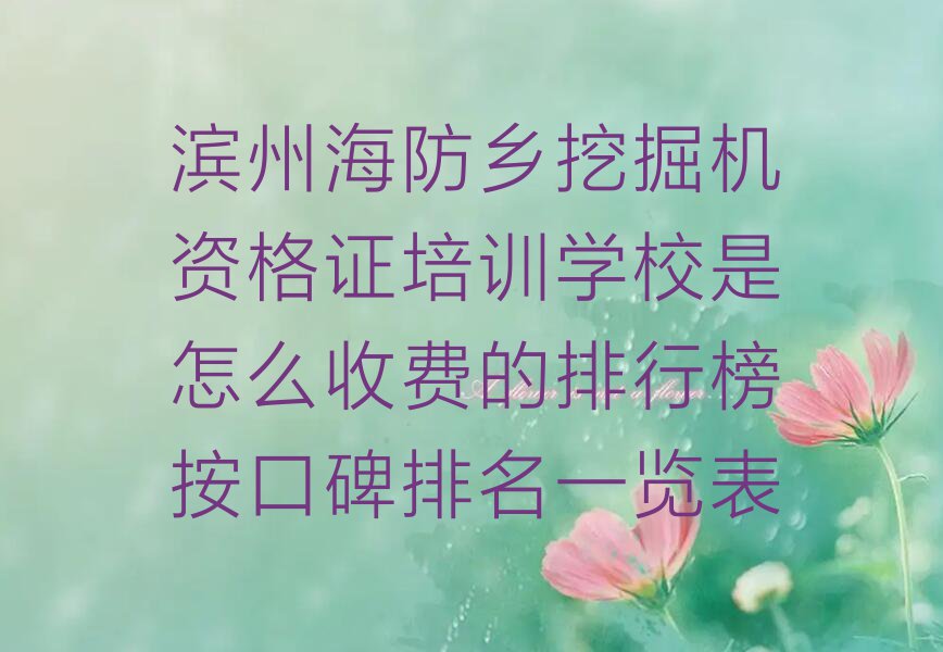 滨州海防乡挖掘机资格证培训学校是怎么收费的排行榜按口碑排名一览表