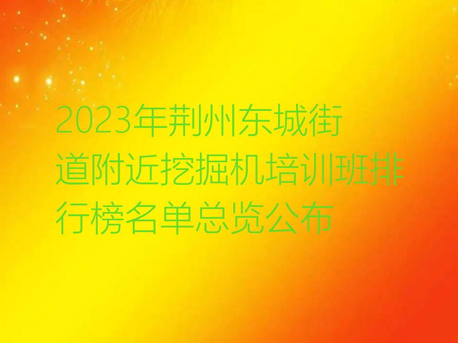 2023年荆州东城街道附近挖掘机培训班排行榜名单总览公布