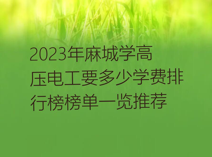 2023年麻城学高压电工要多少学费排行榜榜单一览推荐