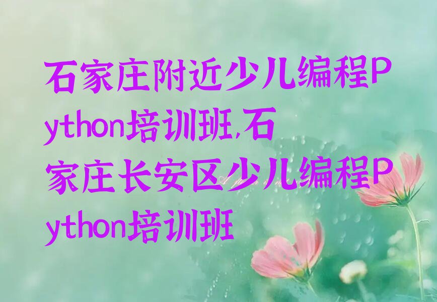 石家庄附近少儿编程Python培训班,石家庄长安区少儿编程Python培训班