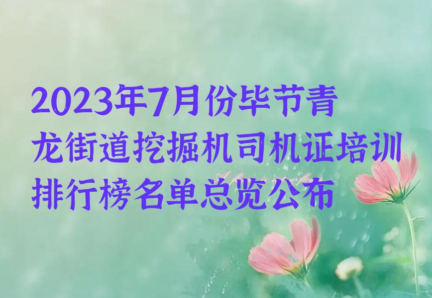 2023年7月份毕节青龙街道挖掘机司机证培训排行榜名单总览公布