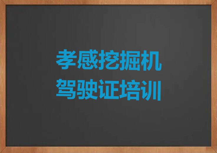 孝感孝南区新铺镇附近挖掘机驾驶证培训班电话排行榜名单总览公布