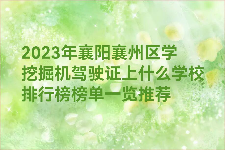 2023年襄阳襄州区学挖掘机驾驶证上什么学校排行榜榜单一览推荐