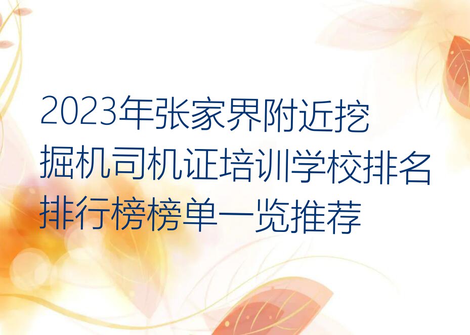 2023年张家界附近挖掘机司机证培训学校排名排行榜榜单一览推荐