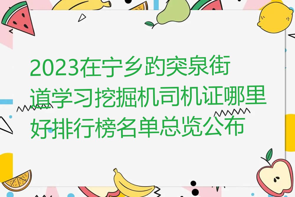 2023在宁乡趵突泉街道学习挖掘机司机证哪里好排行榜名单总览公布