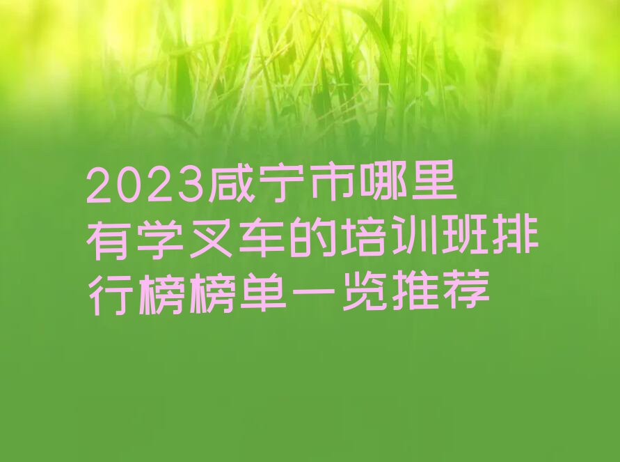 2023咸宁市哪里有学叉车的培训班排行榜榜单一览推荐