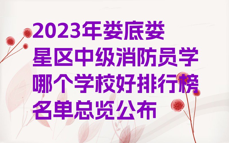 2023年娄底娄星区中级消防员学哪个学校好排行榜名单总览公布