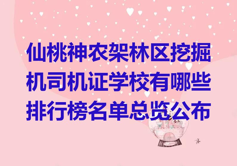 仙桃神农架林区挖掘机司机证学校有哪些排行榜名单总览公布